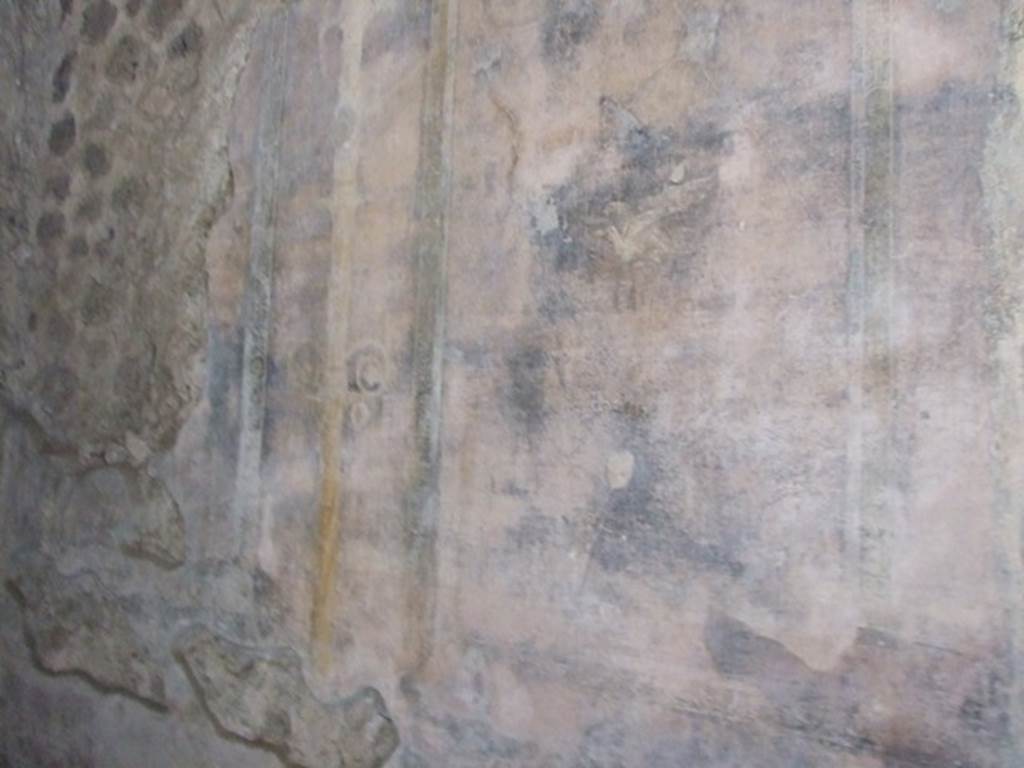 V.2.i Pompeii. December 2007.  Room 8, painted plaster on north wall  of ala on west side of atrium.  

