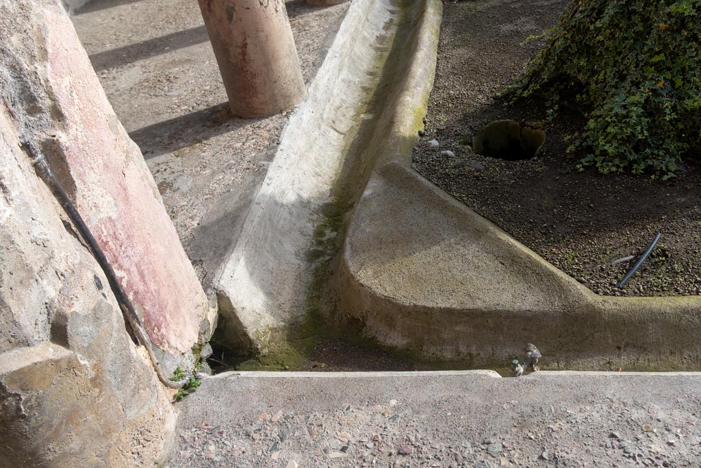 V.2.i Pompeii. January 2024. Looking south from north-east corner of gutter in peristyle. Photo courtesy of Johannes Eber.

