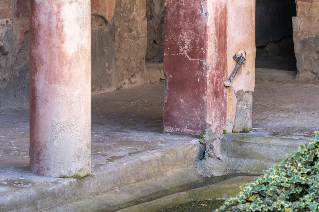 V.2.i Pompeii. January 2024. Room 23, north-west corner of peristyle. Photo courtesy of Johannes Eber.