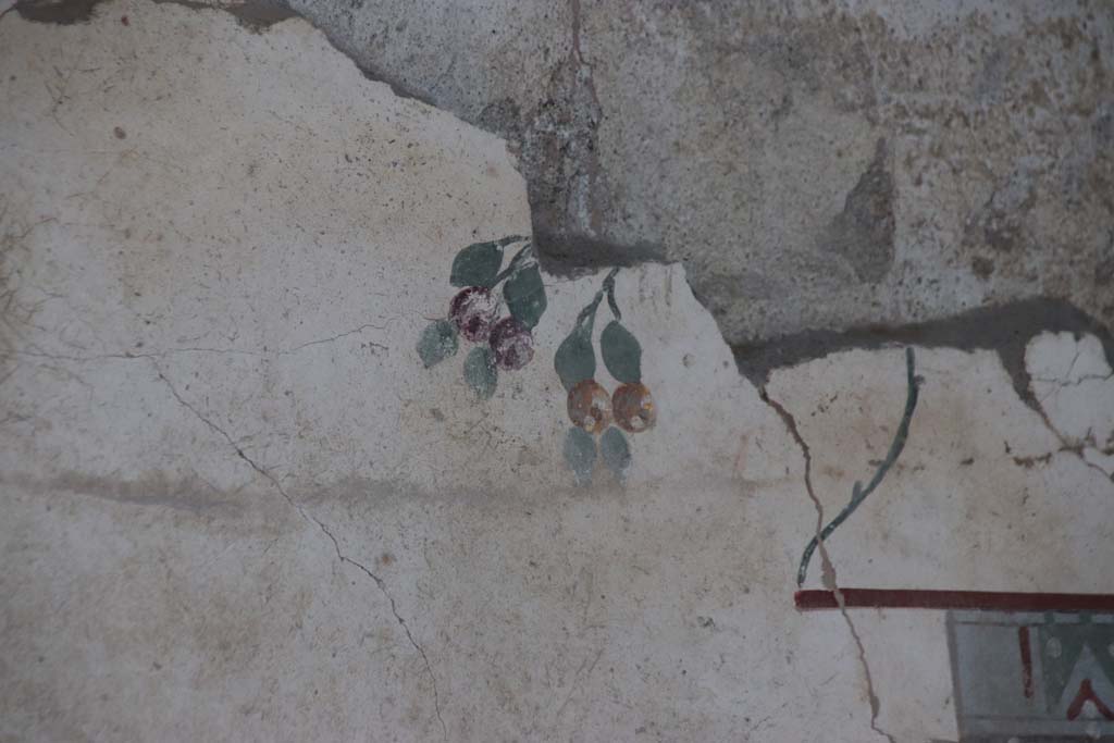 V.2.Pompeii. Casa di Orione. September 2021.
Room A13, detail of painted decoration with fruit (?) from upper east wall of south ala. Photo courtesy of Klaus Heese.