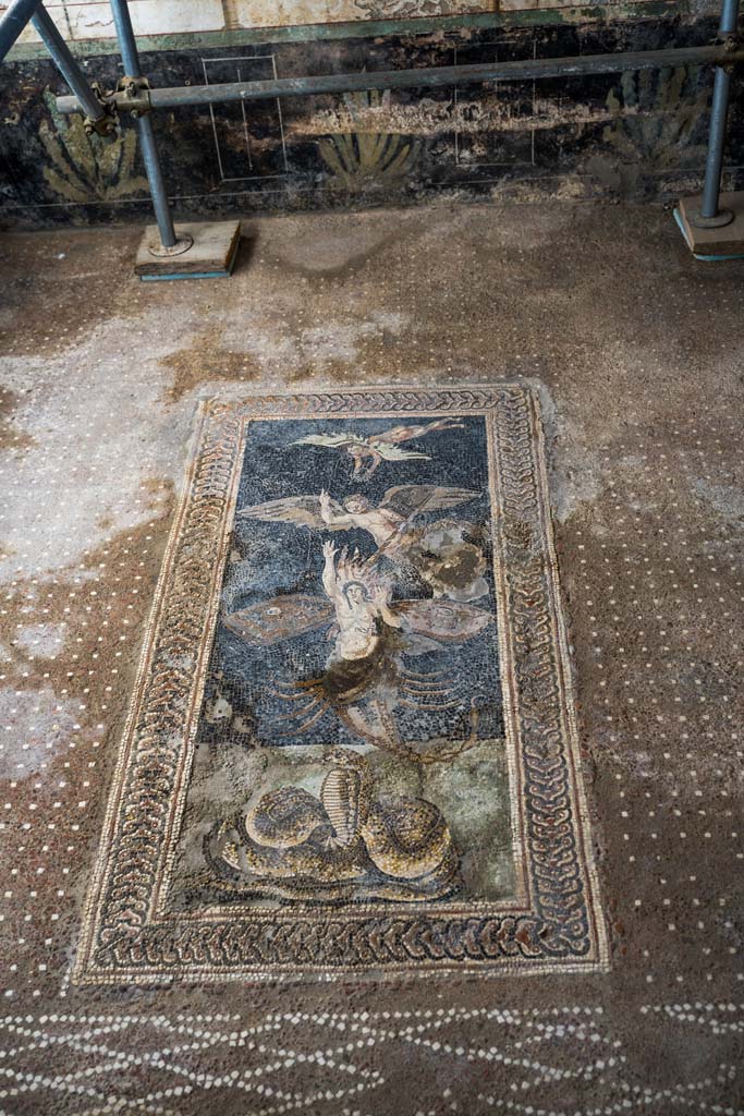 V.2, Pompeii. Casa di Orione. October 2021.
Room A13, looking south across floor mosaic in south ala. Photo courtesy of Johannes Eber.
