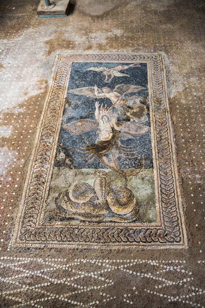 V.2, Pompeii. Casa di Orione. October 2021.
Room A13, floor mosaic in south ala. Photo courtesy of Johannes Eber.