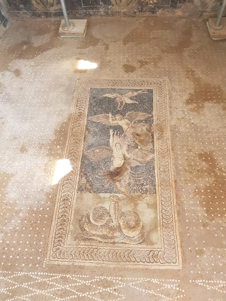 V.2 Pompeii. Casa di Orione. October 2022.
Room A13, detail from flooring in south ala. Photo courtesy of Klaus Heese.