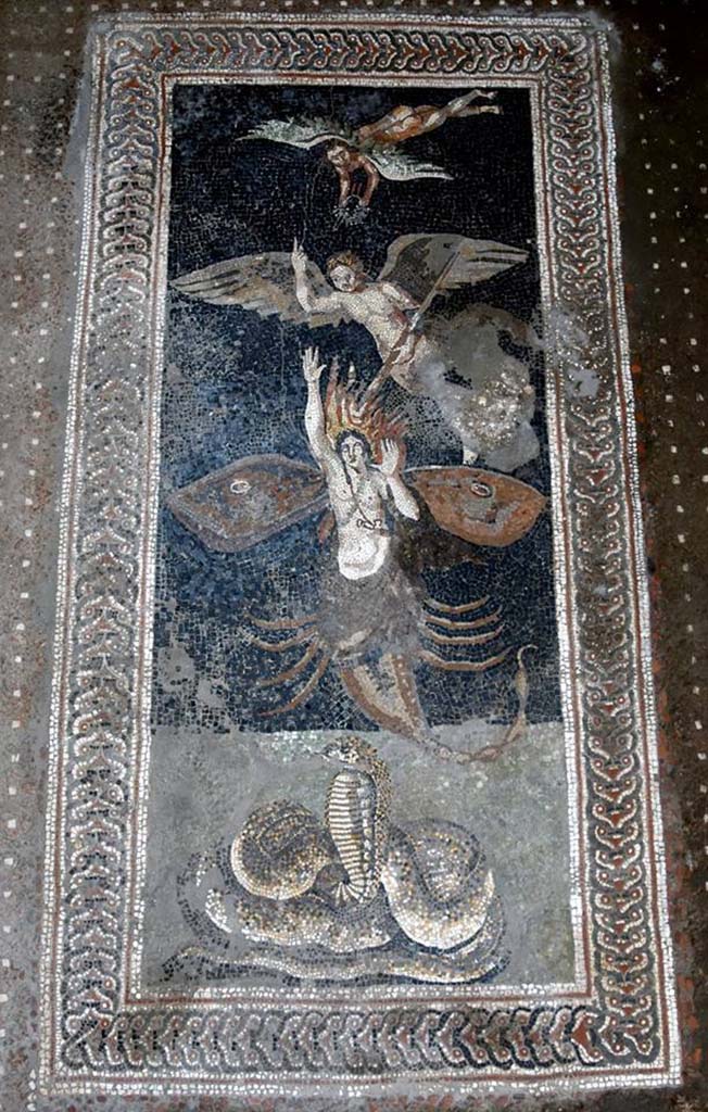 V.2.15 Pompeii. October 2018. Room A13 on south side of atrium. An exceptional mosaic floor with a mythological or astrological theme was found.
According to the Massimo Osanna this may depict the catasterism of Orion.
The snake represents the Earth. The goddess Gaia had been angered by the giant and hunter Orion announcing that he will hunt every animal on earth.
She sent a scorpion to kill him. The scorpion rose from the Earth and fatally stung Orion.
Zeus turns both of them into stars in the heavens. The wings on Orion represent his transformation.
A pagan winged creature carries a torch to set Orion aflame, whilst pointing to the heavens and a second creature offers Orion a crown.
According to Greek mythology Orion is the brightest constellation.
Photograph © Parco Archeologico di Pompei.