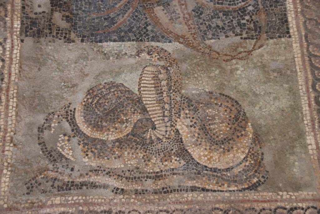 V.2.Pompeii. Casa di Orione. September 2021.
Room A13, detail of cobra from floor mosaic in south ala. Photo courtesy of Klaus Heese.