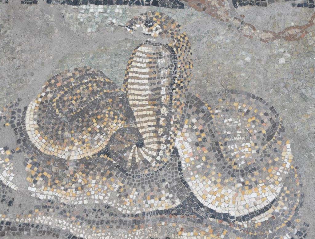V.2.15 Pompeii. October 2018. Room A13 on south side of atrium. Cobra at foot of mosaic floor design represents the Earth.
Photograph © Parco Archeologico di Pompei.