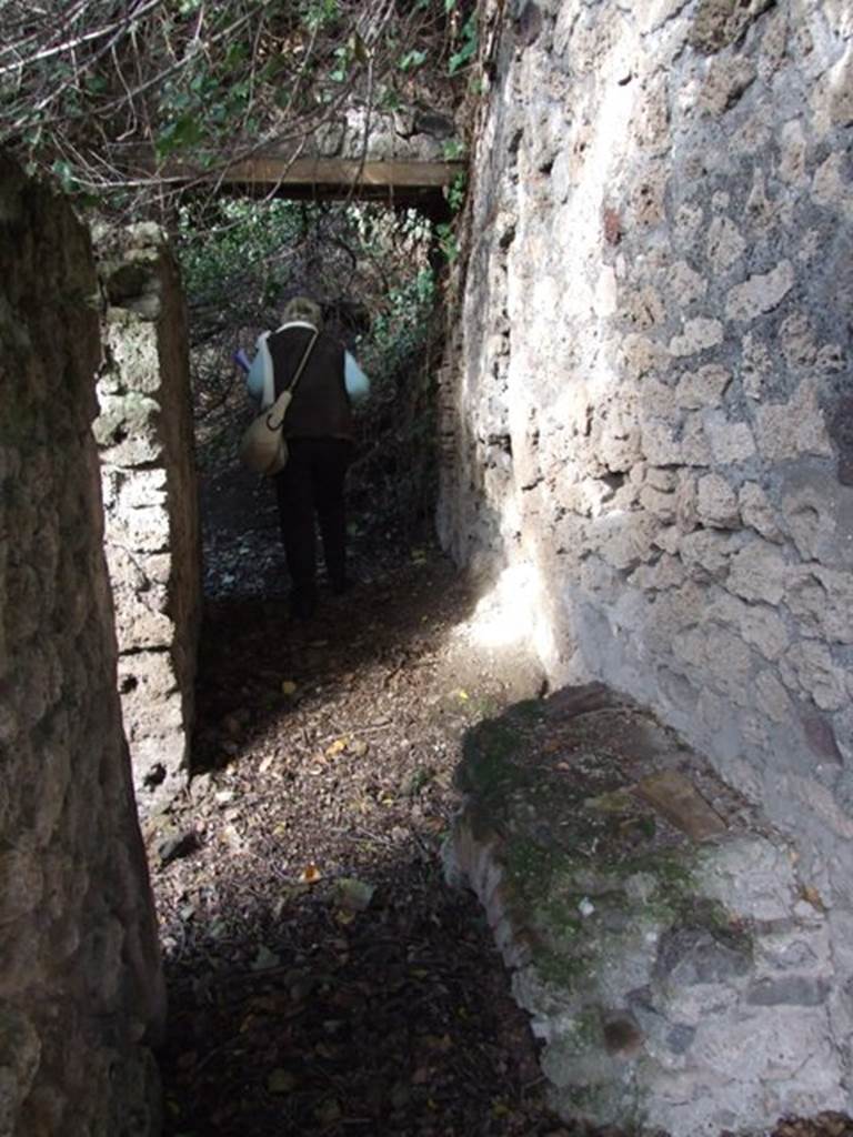 V.2 Pompeii. Casa di Orione. December 2007. Looking north along corridor, 11a. On the left is the doorway to room 11b.
Following the 2018 excavations, this area is now considered to be the Casa di Orione with a separate entrance from the Vicolo dei Balconi.
It is considered to be two separate houses, with two entrance doorways and two names.