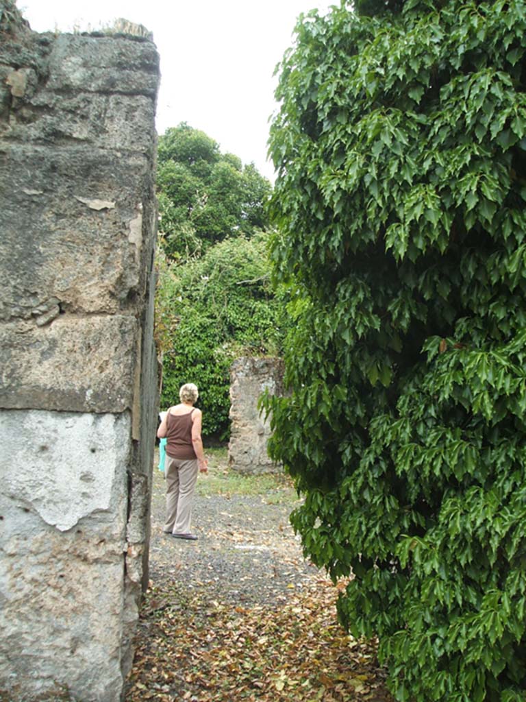 V.3.11 Pompeii. May 2005. Looking west from entrance, towards atrium and tablinum.
