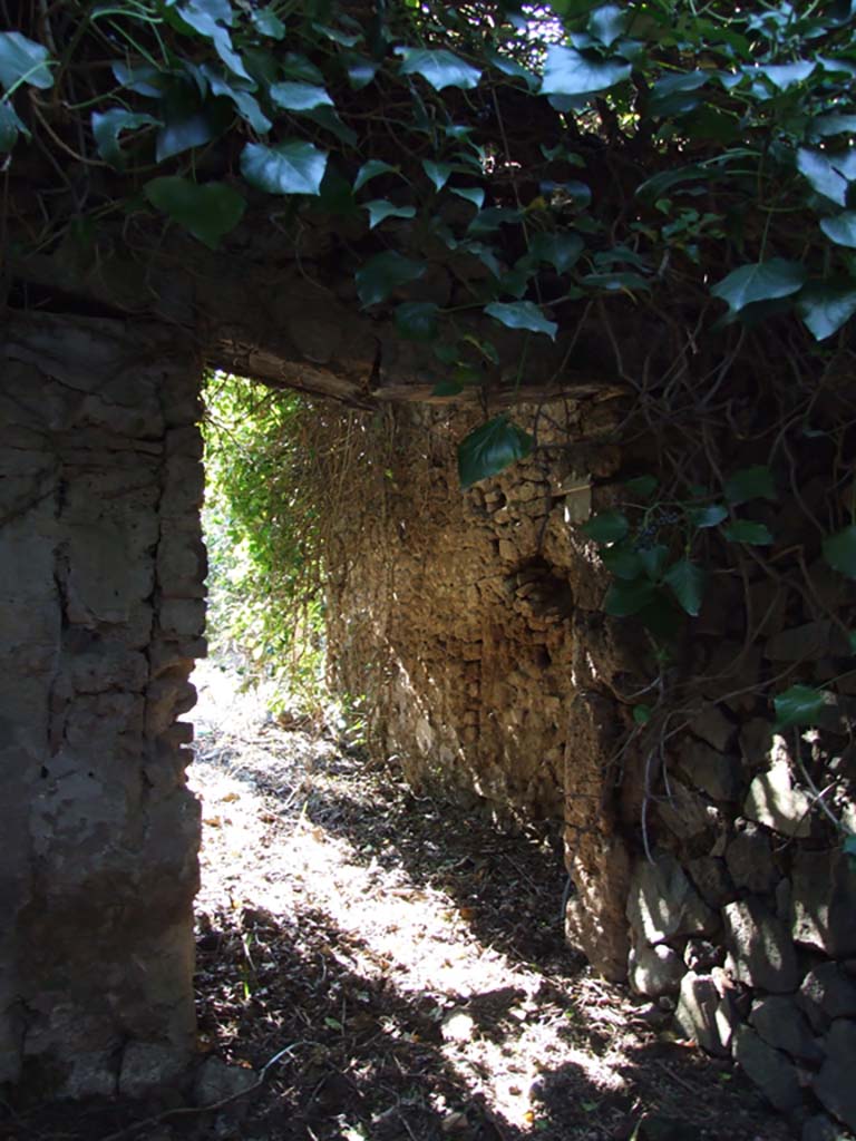 V.3.12 Pompeii. March 2009. Entrance doorway and fauces 1. For more inscriptions, also see V.3.11.