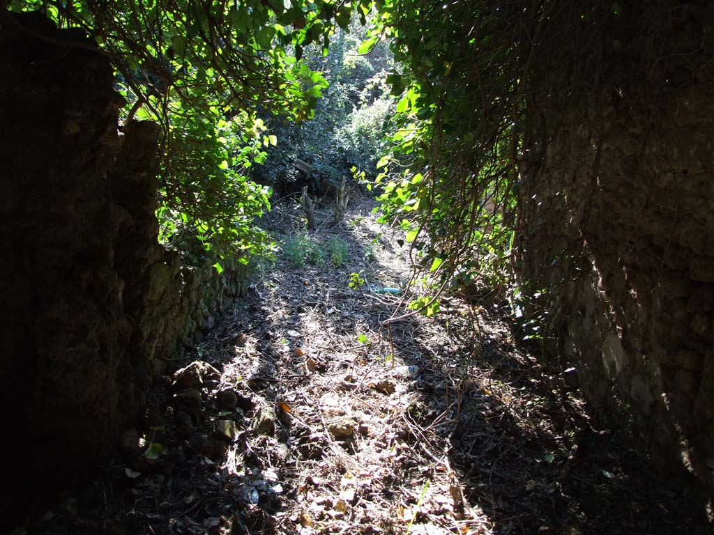 V.3.12 Pompeii. March 2009. Looking west across peristyle, numbered 2 on plan, from entrance fauces 1.
According to Jashemski –
The peristyle of this house (excavated 1905-6) was entered directly by a passageway from the street. 
The garden was enclosed by a portico on four sides.
See Jashemski, W. F., 1993. The Gardens of Pompeii, Volume II: Appendices. New York: Caratzas. (p.115).
