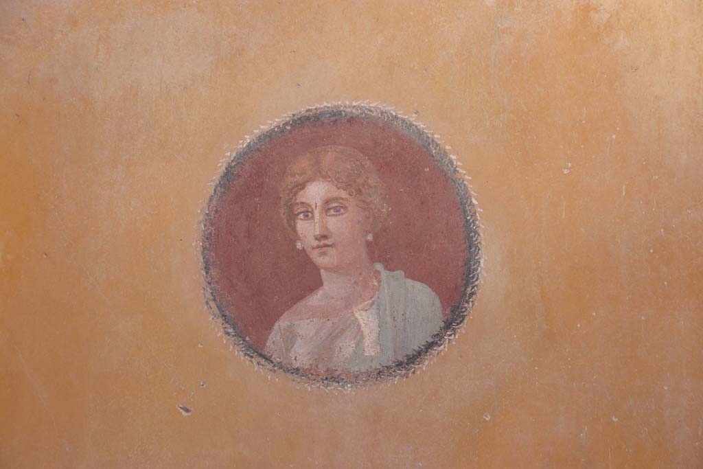 V.3 Pompeii. Casa del Giardino. September 2021. 
Room 3, detail of medallion from east end of north wall.  Photo courtesy of Klaus Heese.
