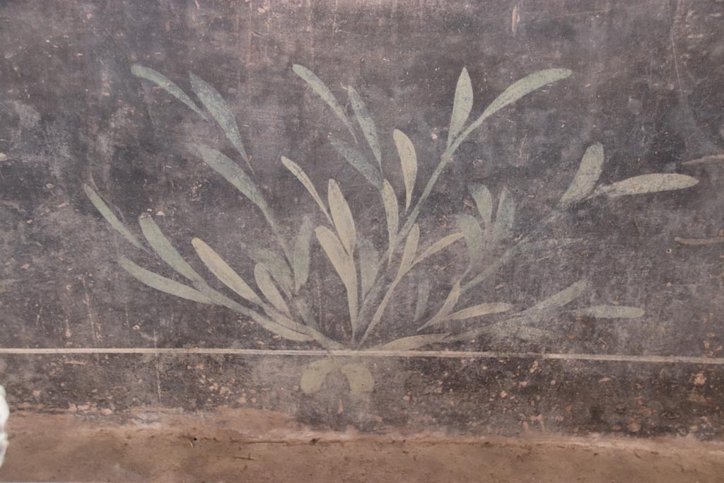 V.3 Pompeii. Casa del Giardino. October 2022. Portico 10, black zoccolo with painted plant. Photo courtesy of Klaus Heese. 