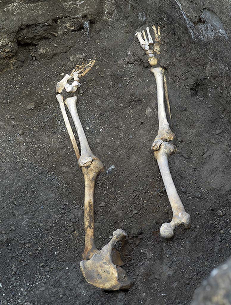 V.3 Pompeii, Thermopolium with painting of nereid. December 2020.
Another observation of note is the discovery of human bones, albeit found sadly dispersed as a result of the tunnels which were dug in the 17th century by illegal excavators, who were searching for precious objects. Several belong to an individual of at least fifty years of age, who at the moment when the pyroclastic current arrived, was most likely on some kind of bed, as evidenced by the space set aside for storing the bed, and a series of nails and wood residues found under the body.

V.3 Pompei, Termopolio con dipinto di nereide e anfore. Dicembre 2020.
Altro dato interessante è il rinvenimento di ossa umane, ritrovate, purtroppo, sconvolte a causa del passaggio di cunicoli realizzati nel XVII secolo da scavatori clandestini in cerca di oggetti preziosi. Alcune sono pertinenti ad un individuo di almeno 50 anni, che verosimilmente al momento dell'arrivo della corrente piroclastica era posizionato su un letto o una branda, come testimoniano il vano per l'alloggiamento del giaciglio e una serie di chiodi e residui di legno rinvenuti al di sotto del corpo.

Photo by Luigi Spina courtesy of Parco Archeologico di Pompei.

