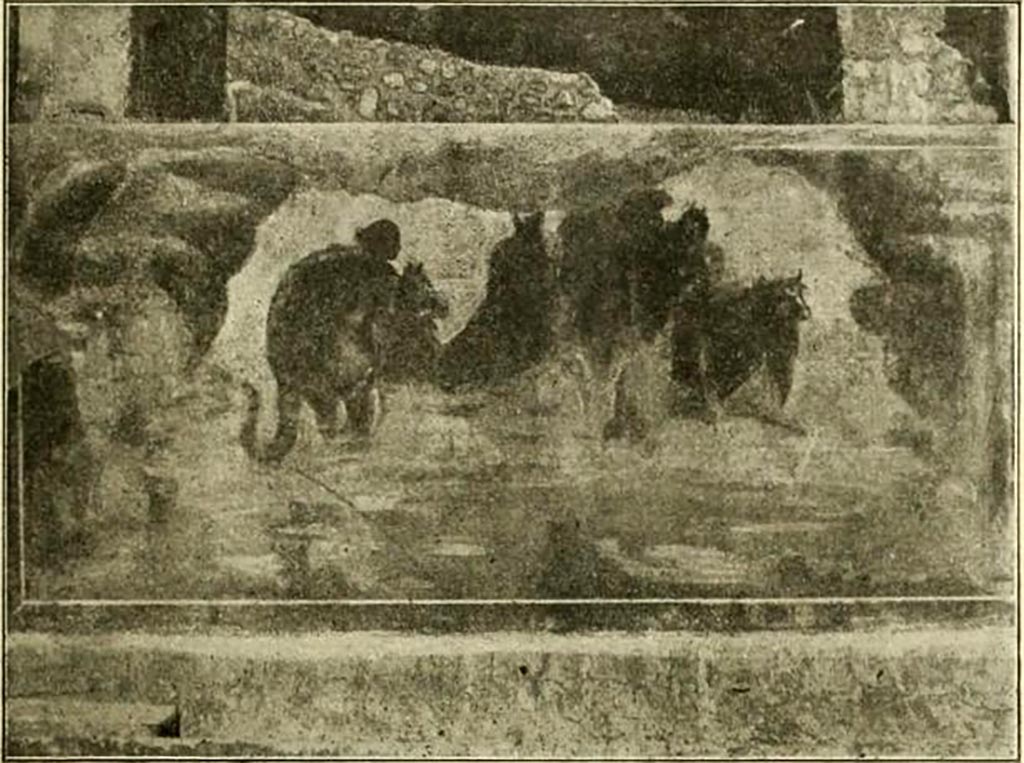 V.5.3 Pompeii. Wall painting of Europa on the Bull, from north-east corner of peristyle.
See Notizie degli Scavi di Antichità, 1899, p.350-1, number 10, fig. 11.