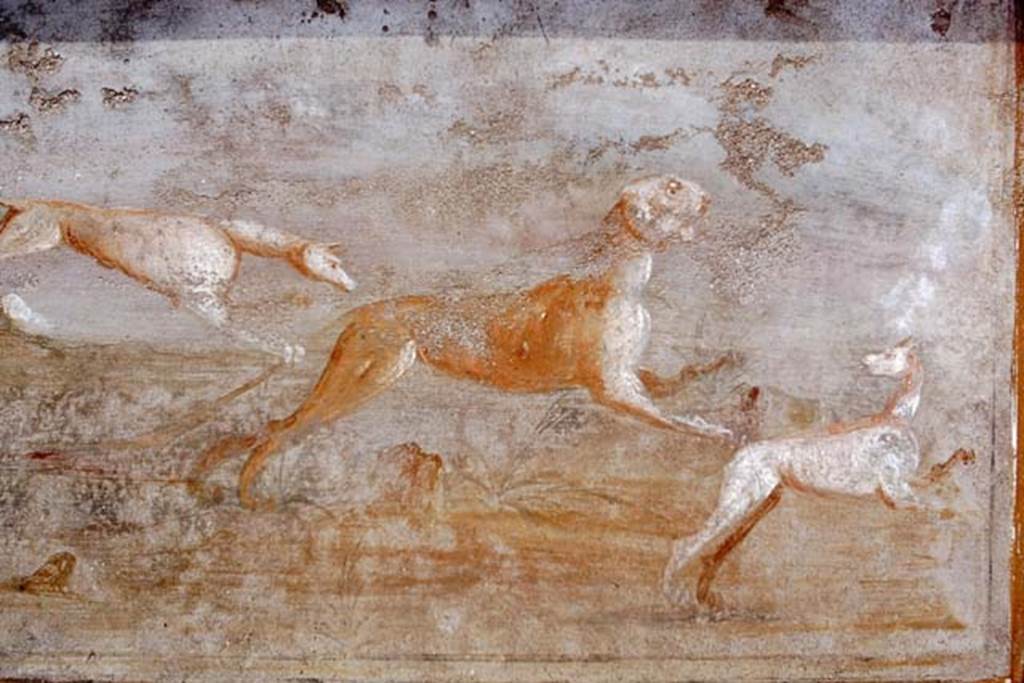 V.5.3 Pompeii. 1968. Room 7, detail from painting 3 on peristyle. Photo by Stanley A. Jashemski.
Source: The Wilhelmina and Stanley A. Jashemski archive in the University of Maryland Library, Special Collections (See collection page) and made available under the Creative Commons Attribution-Non Commercial License v.4. See Licence and use details.
J68f1616