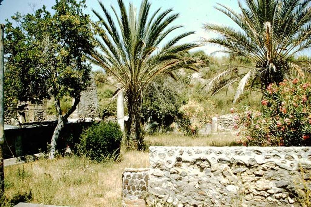 V.5.3 Pompeii. 1957. Looking towards north-west corner of peristyle. Photo by Stanley A. Jashemski.
Source: The Wilhelmina and Stanley A. Jashemski archive in the University of Maryland Library, Special Collections (See collection page) and made available under the Creative Commons Attribution-Non Commercial License v.4. See Licence and use details.
J57f0278