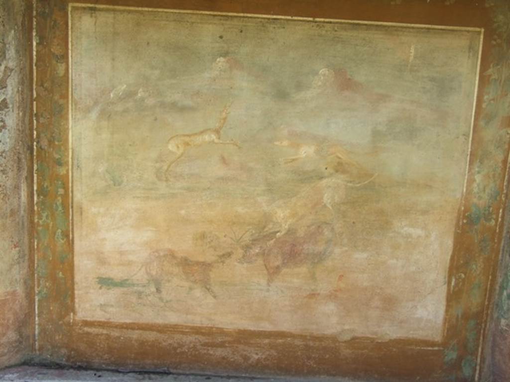 V.5.3 Pompeii. March 2009. Room 7, west side of peristyle in north-west corner. Painting 5 � Animal painting showing a boar being attacked by two dogs. One dog was attacking him from the front, the other leaping onto him from behind.  In the background, another dog was attacking a deer. See Notizie degli Scavi di Antichit�, 1899, p.349, number 5.


