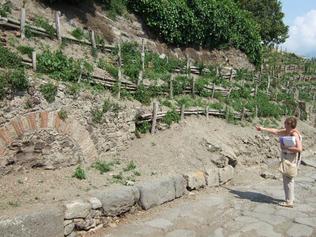 V.6.7 (on left) and V.6.6 Pompeii (on right). May 2006. Unexcavated entrances, on east side of Via del Vesuvio.