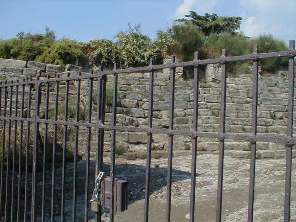 VI.1.1 Pompeii. September 2004. Entrance doorway, with steps to the wall.
