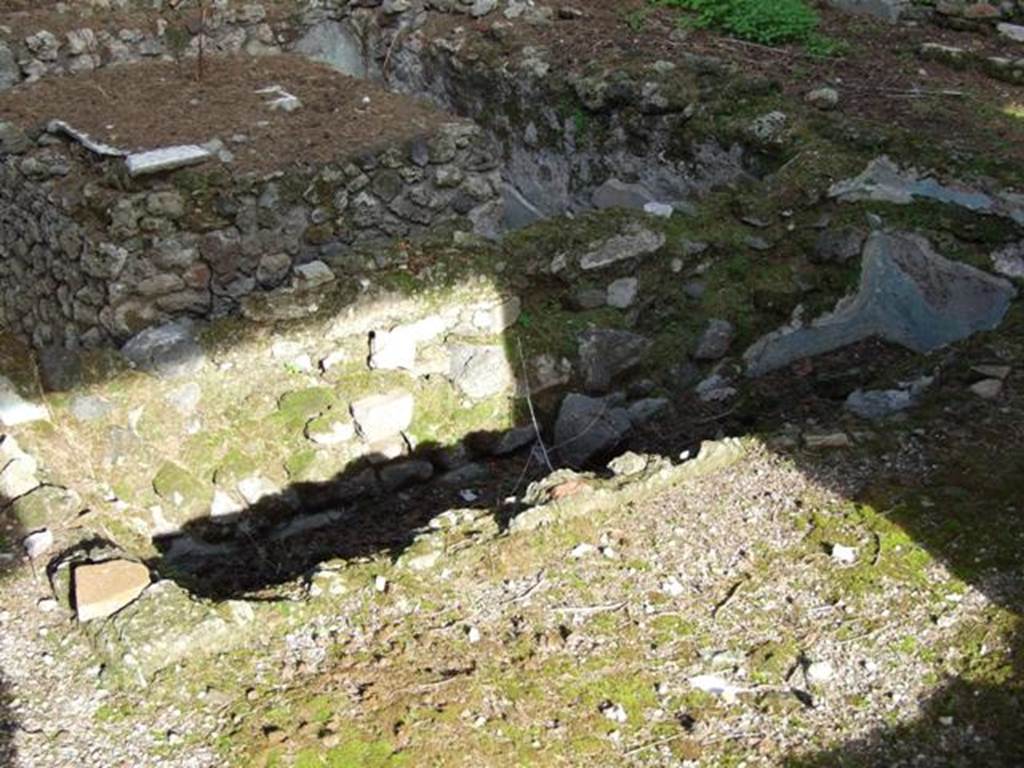VI.1.7 House of the Vestals.  Pool in peristyle.