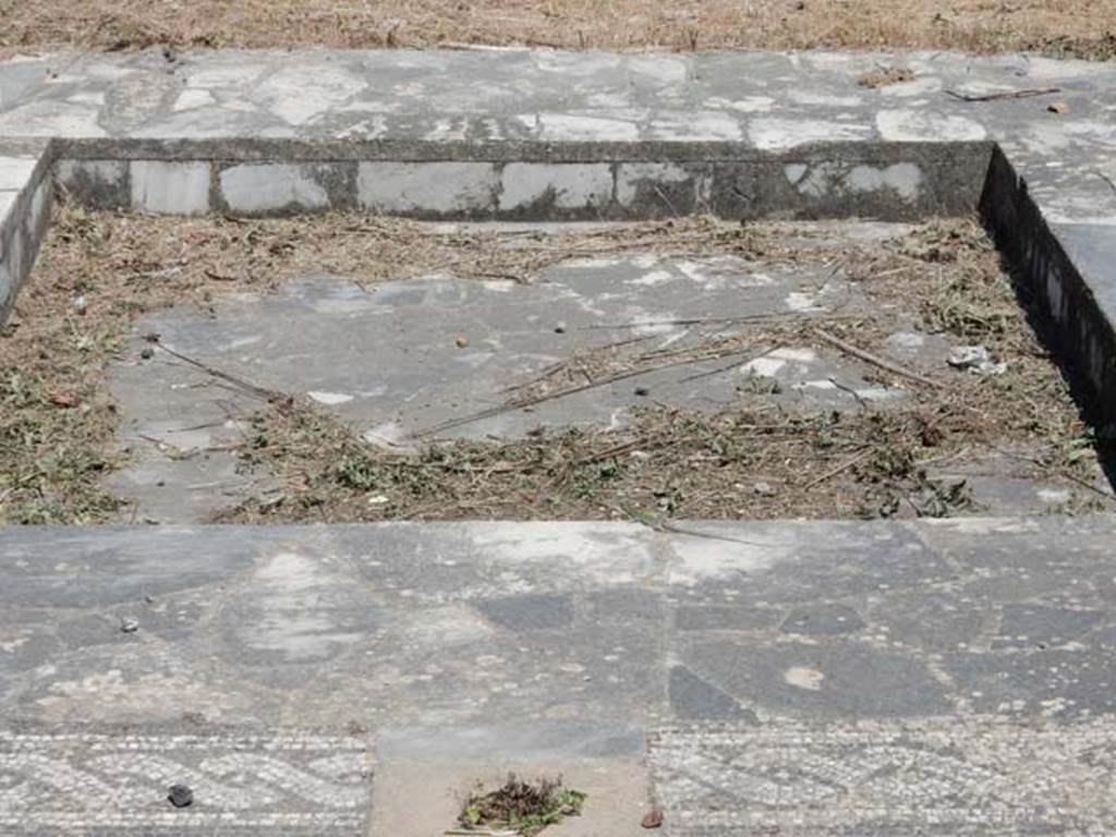 VI.1.7 Pompeii. May 2017. Looking east across impluvium in atrium. Photo courtesy of Buzz Ferebee.