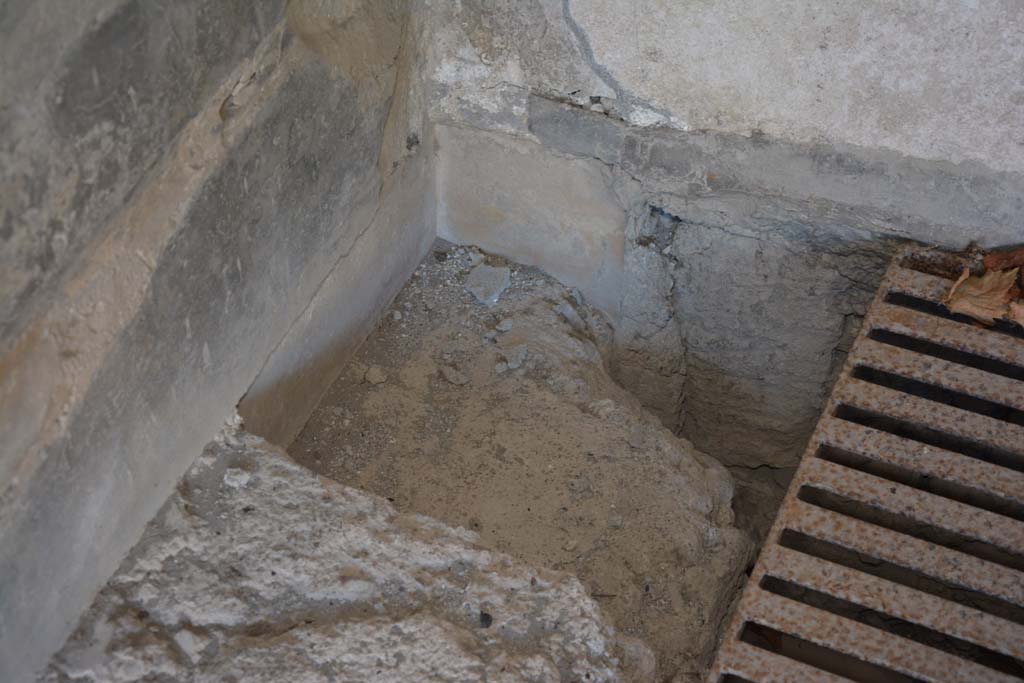 VI.2.4 Pompeii. December 2017. Detail from south-west corner in oecus.
Foto Annette Haug, ERC Grant 681269 D�COR
