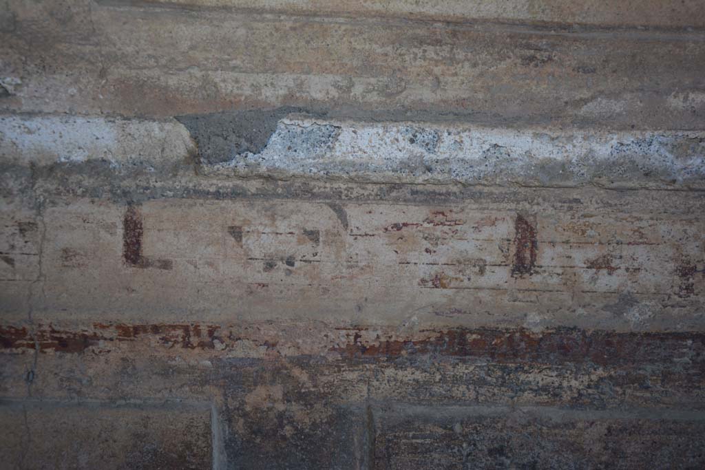 VI.2.4 Pompeii. December 2017. Detail from painted decoration from predella above zoccolo on north wall, continuation eastwards.
Foto Annette Haug, ERC Grant 681269 D�COR.
