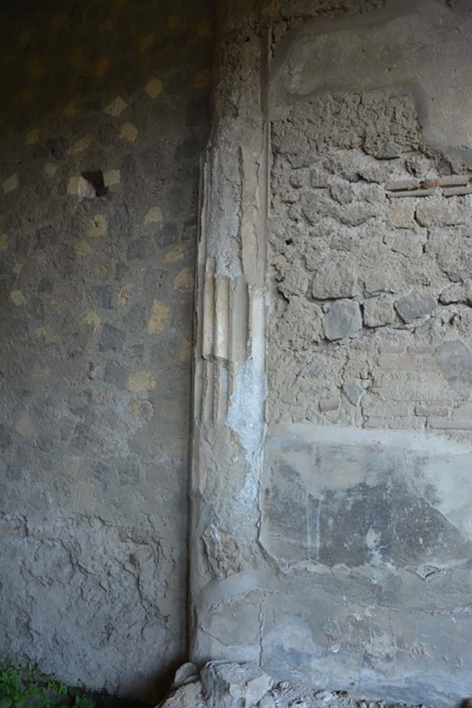 VI.2.4 Pompeii. March 2019. 
Detail from north wall of outer small room in north-west corner, near summer triclinium. 
Foto Annette Haug, ERC Grant 681269 D�COR.

