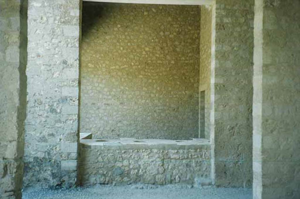 VI.2.4 Pompeii. June 2010. Looking north towards counter of VI.2.5 taken from entrance corridor. Photo courtesy of Rick Bauer.
