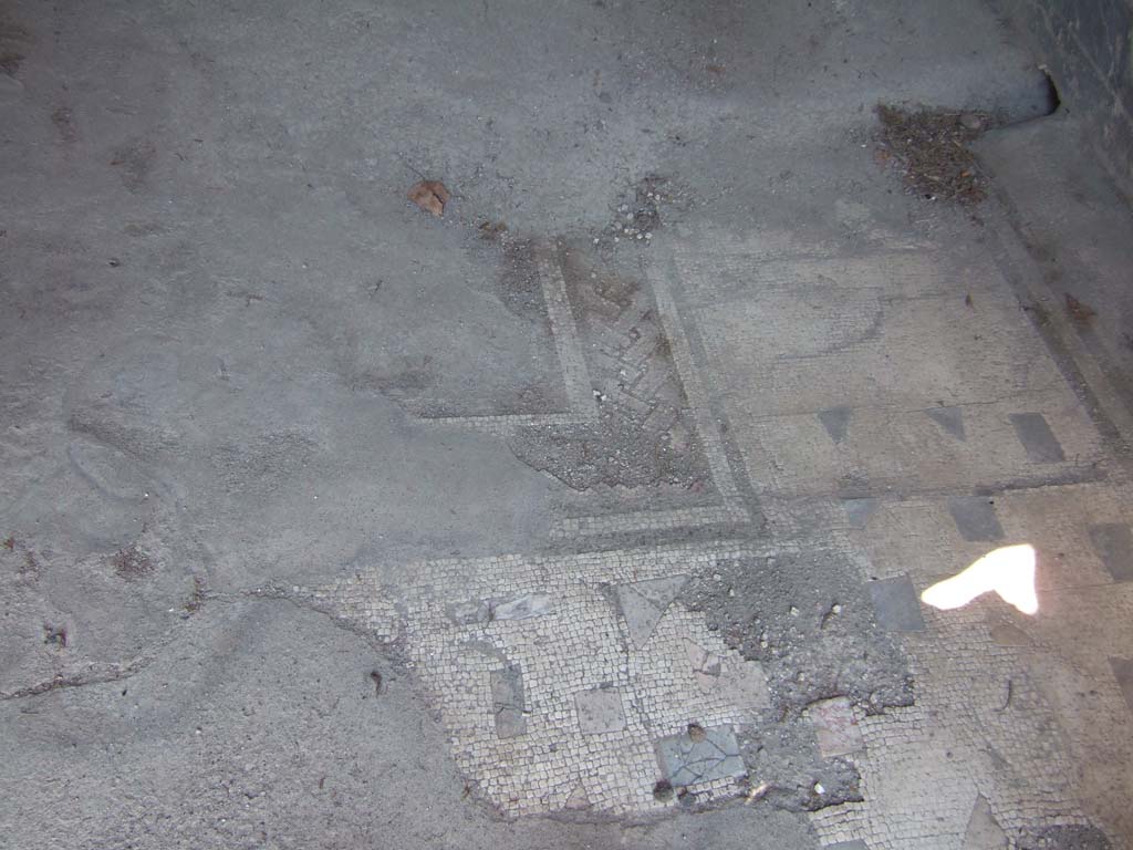 VI.2.14 Pompeii. September 2005. Mosaic floor in triclinium.