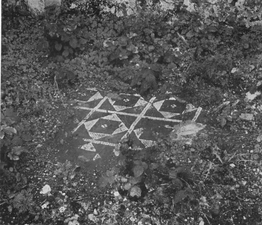 VI.3.3 Pompeii. c.1930. Flooring from an unspecified room.
According to Blake -
This photo showed the extent to which vegetation was a contributing cause to the destruction of mosaics.
See Blake, M., (1930). The pavements of the Roman Buildings of the Republic and Early Empire. Rome, MAAR, 8, (p.12, ftn 7, & pl.1, no.1).
