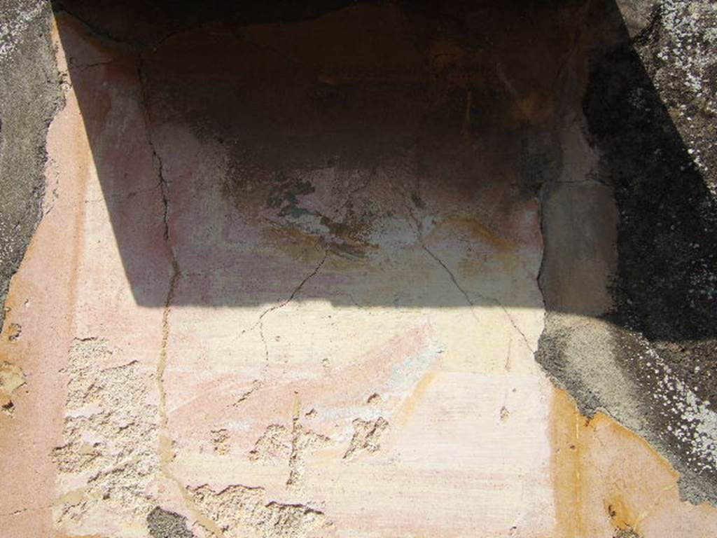 VI.5.5 Pompeii. September 2005. Central panel on the north wall of triclinium to the left behind the peristyle.   
According to PPM - 
the painting in the centre of the north wall. which a small lean-to roof did not succeed in protecting so it has now faded and disappeared, was of a still-life with fishes (Helbig 1707).
See Carratelli, G. P., 1990-2003. Pompei: Pitture e Mosaici. Vol. IV.  Roma: Istituto della enciclopedia italiana. (p.329, 330)

