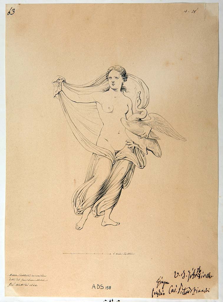 VI.5.5 Pompeii. 1844 drawing by Giuseppe Abbate of a panel with Leda and the swan (Helbig 151). 
Now in Naples Archaeological Museum. Inventory number ADS 158.
Photo � ICCD. http://www.catalogo.beniculturali.it
Utilizzabili alle condizioni della licenza Attribuzione - Non commerciale - Condividi allo stesso modo 2.5 Italia (CC BY-NC-SA 2.5 IT)
According to Helbig�s topographical list, this panel also came from the triclinium, but today the IV Style decoration has disappeared.
