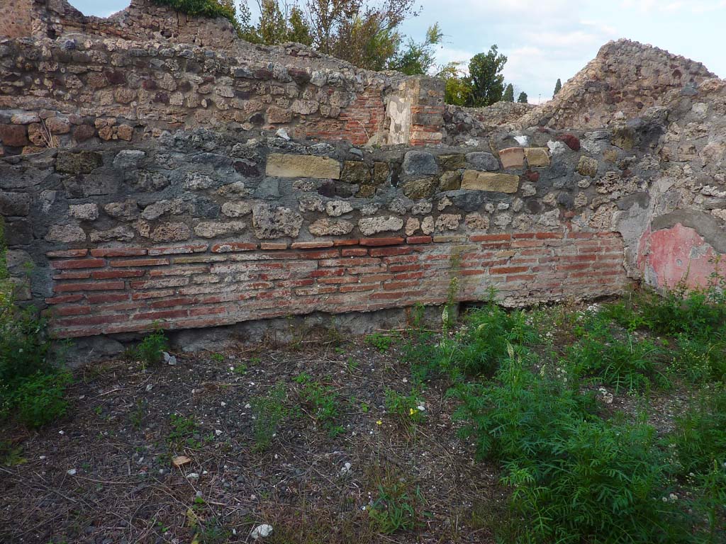 VI.5.9 Pompeii. November 2021. Looking towards north wall in triclinium. Photo courtesy of H�l�ne Dessales.