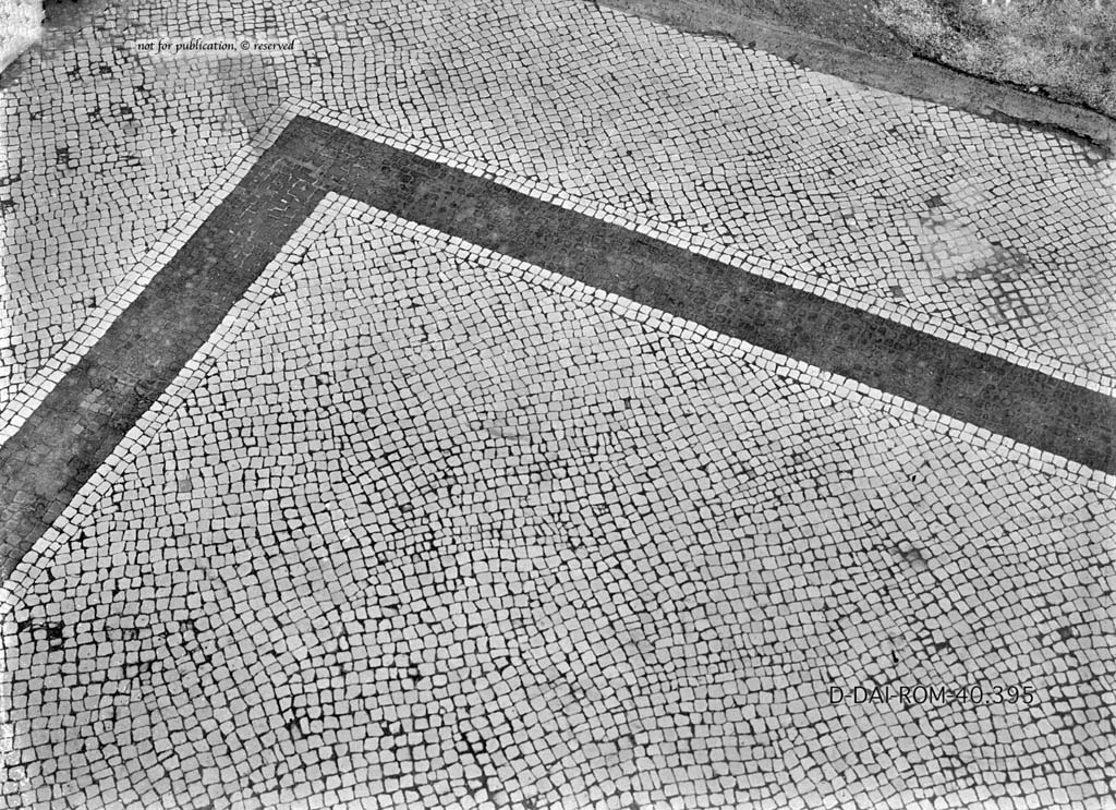 VI.6.1 Pompeii. c.1930. Room 6, detail of mosaic flooring in atrium
DAIR 40.395. Photo � Deutsches Arch�ologisches Institut, Abteilung Rom, Arkiv.
See Pernice, E.  1938. Pavimente und Fig�rliche Mosaiken: Die Hellenistische Kunst in Pompeji, Band VI. Berlin: de Gruyter, (taf. 15,5).
