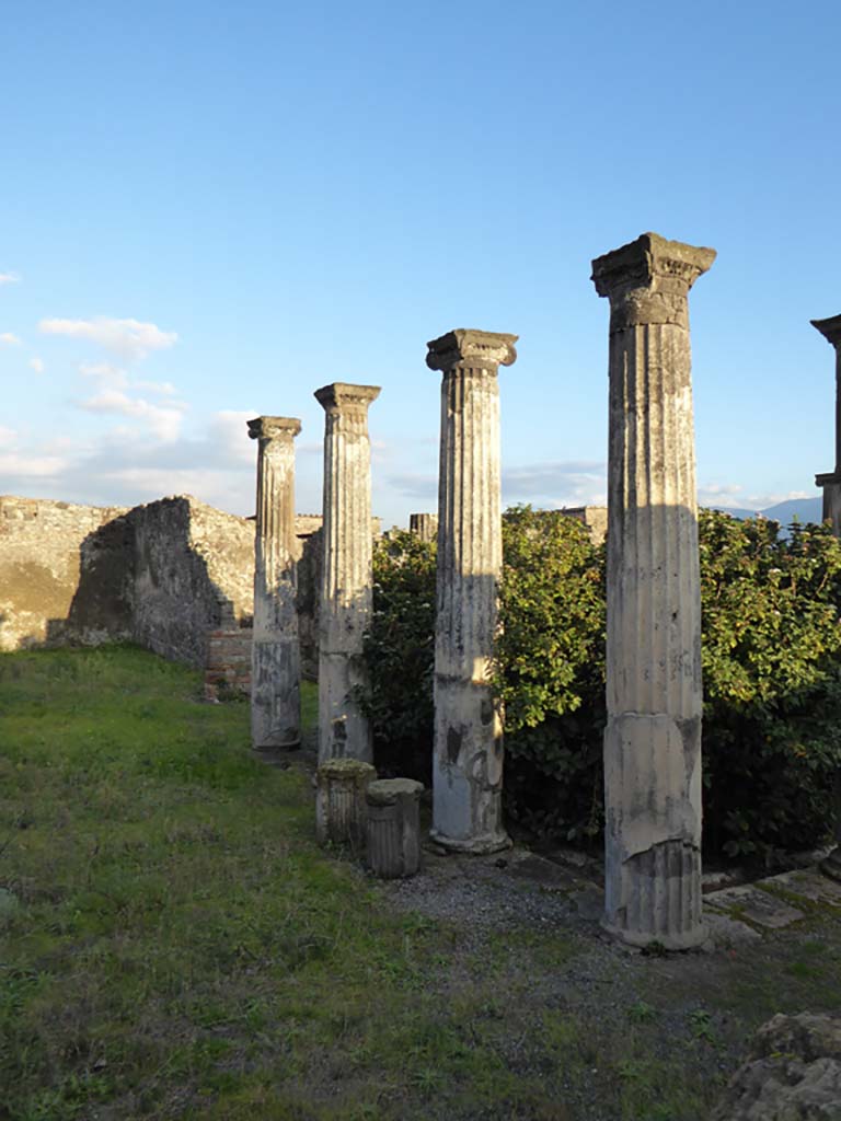 VI.6.1 Pompeii. January 2017. Columns on north portico.
Foto Annette Haug, ERC Grant 681269 D�COR.

