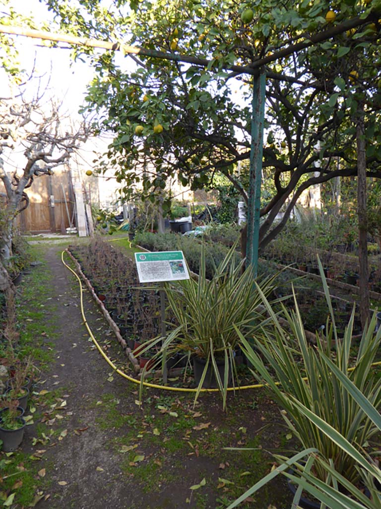 VI.6.12 Pompeii. January 2017. Looking east from entrance doorway.
Foto Annette Haug, ERC Grant 681269 D�COR.
