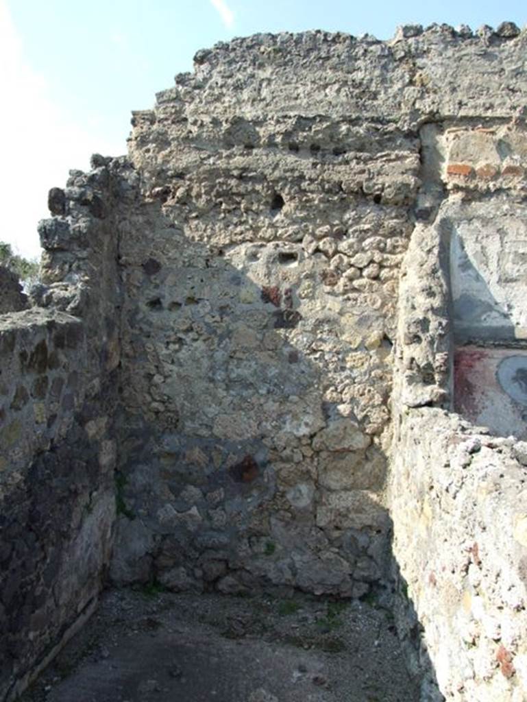 VI.7.3 Pompeii.  March 2009.  Room 2. North wall.