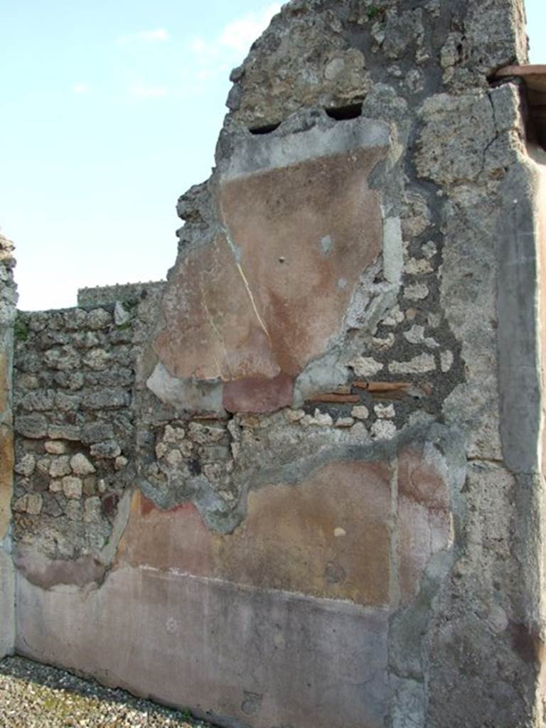 VI.7.6 Pompeii. March 2009. Room 11. Ala. South wall.