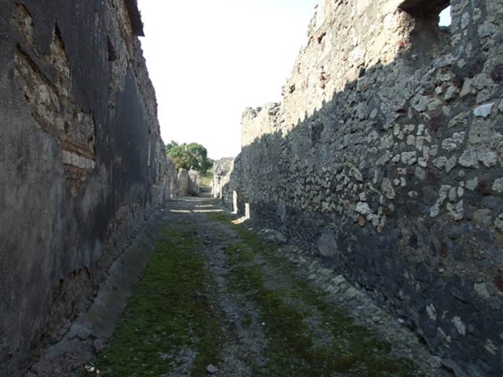 Pompeii. March 2009. Vicolo della Fullonica. Looking north, along side wall of VI.7.6.