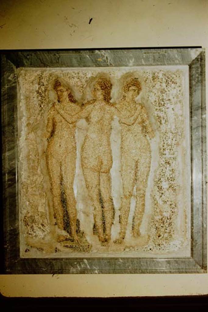 VI.7.23 Pompeii. Mosaic of the Three Graces from the garden wall. Now in Naples Archaeological Museum. Inventory number 10004. Photo taken by Stanley A. Jashemski in 1957.
Source: The Wilhelmina and Stanley A. Jashemski archive in the University of Maryland Library, Special Collections (See collection page) and made available under the Creative Commons Attribution-Non Commercial License v.4. See Licence and use details.
J57f0543