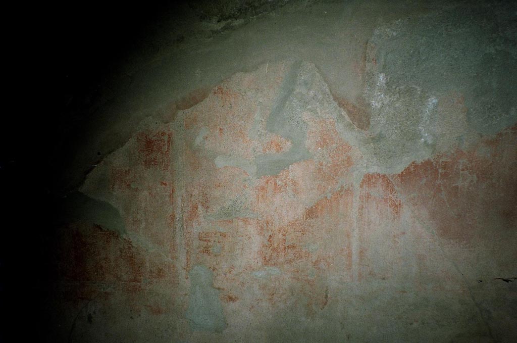 VI.8.3/5 Pompeii. July 2010. Room 14, south wall. Photo courtesy of Rick Bauer.