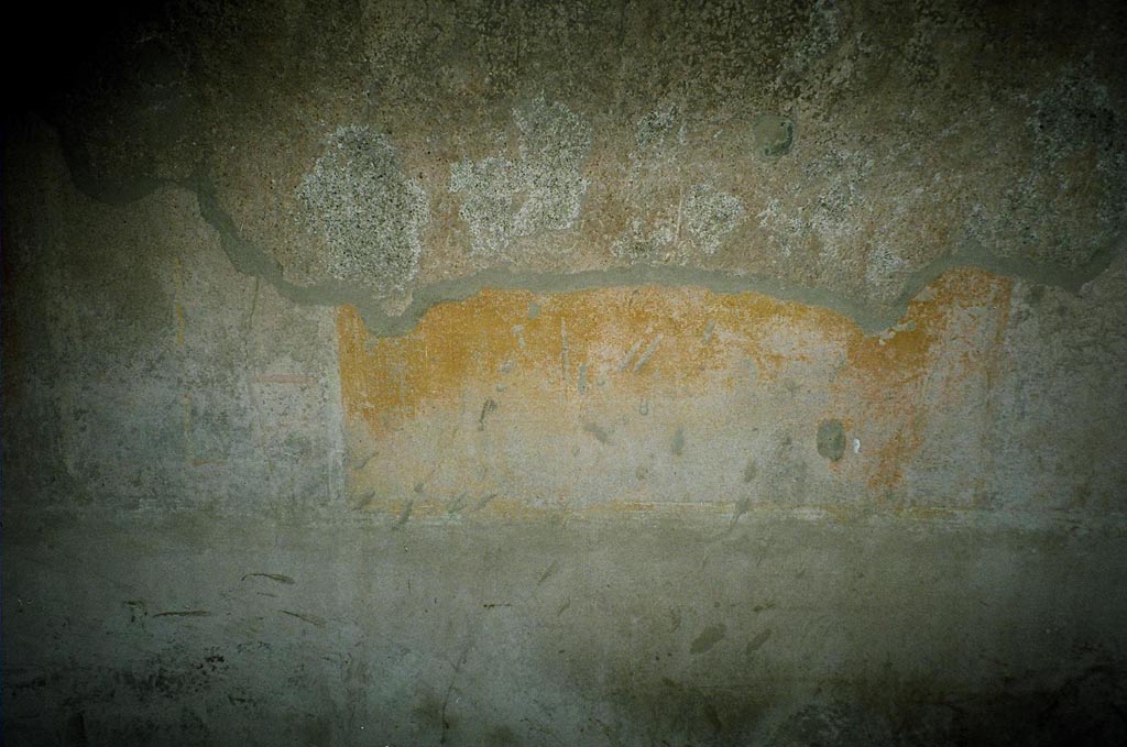VI.8.3/5 Pompeii. July 2010. Room 14, west wall. Photo courtesy of Rick Bauer.
The walls of this room would have had a panelled black zoccolo with compartments with vignettes (now illegible).
The middle zone of the west wall would have had a yellow central panel separated by red side panels.
