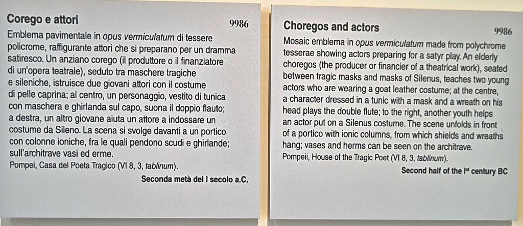 VI.8.3/5 Pompeii. September 2024. Information card in Naples Archaeological Museum. Photo courtesy of Giuseppe Ciaramella.