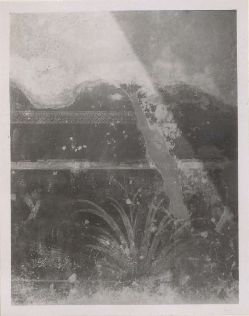 VI.8.3 Pompeii. Pre 1942. 
Room 11, zoccolo under the painting of Sacrifice of Iphigenia in north-east corner of peristyle.
See Warscher, T. 1942. Catalogo illustrato degli affreschi del Museo Nazionale di Napoli. Sala LXXX. Vol.2. Rome, Swedish Institute, p.47.
