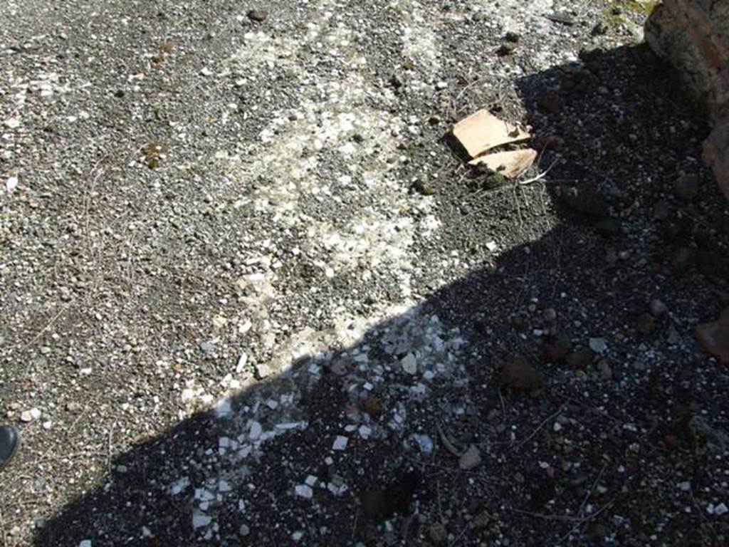 VI.8.20 Pompeii. March 2009.  Room 4.   Peristyle area.  Remains of floor tesserae.