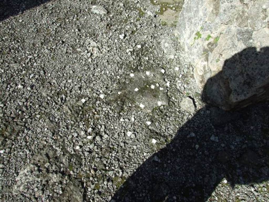 VI.8.21 Pompeii. March 2009. Remains of atrium floor.