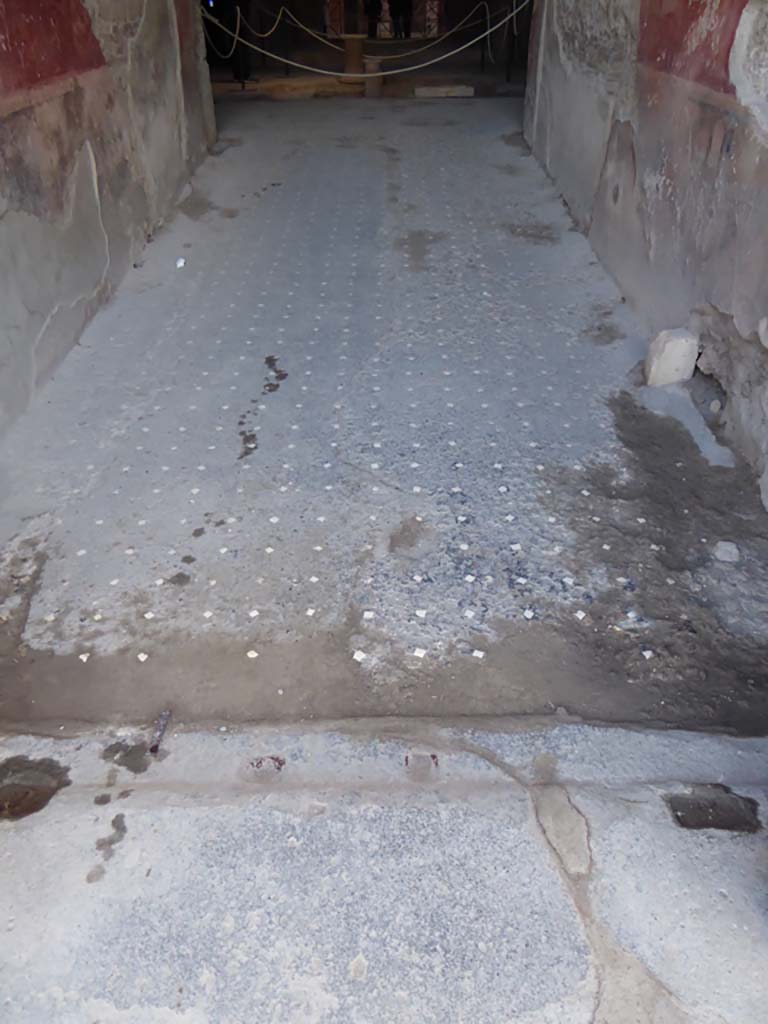 VI.8.23 Pompeii. January 2017. Looking west across flooring in entrance corridor. 
Foto Annette Haug, ERC Grant 681269 DÉCOR.

