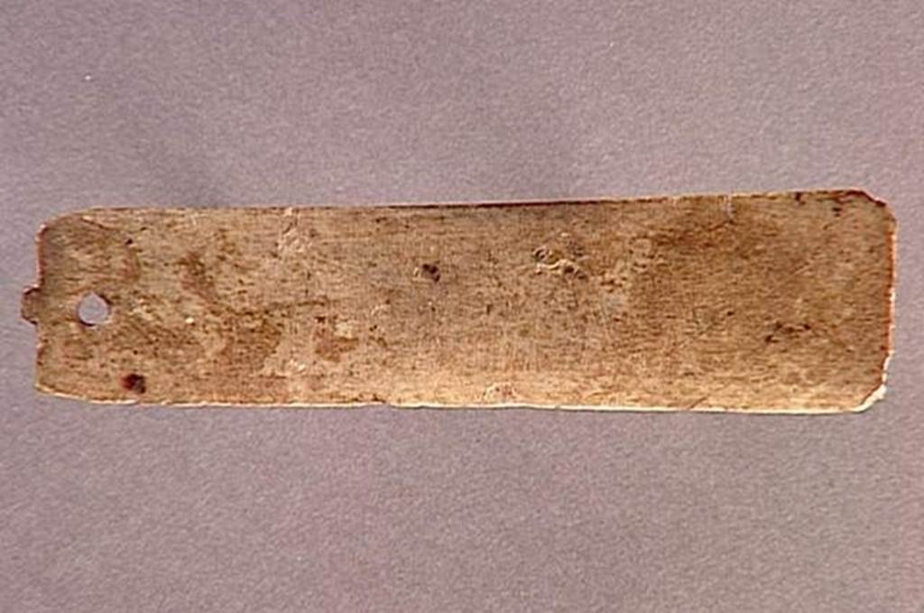 VI.9.1 Plaquette.  Length 0.014m.  OA 1868 Plaquette, mus�e Cond�, photo RMN � R.G. Ojeda