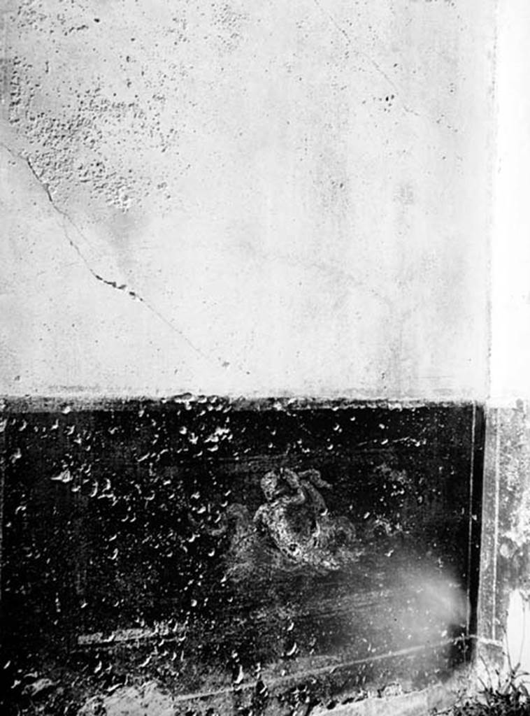 231462 Bestand-D-DAI-ROM-W.468.jpg
VI.9.2 Pompeii. W.468. Room 2, dado from north wall of atrium with painted nereid, in north-east corner.
Photo by Tatiana Warscher. With kind permission of DAI Rome, whose copyright it remains.
See http://arachne.uni-koeln.de/item/marbilderbestand/231462